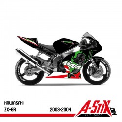 Kawasaki ZX6R 2003-2004