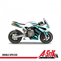 copy of Kawasaki ZX6R...