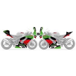 Kawasaki ZX10R Simon Plouvier